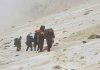 Manaslu emerges as popular trekking destination