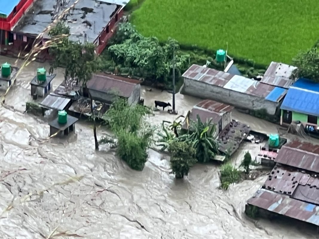 kali gandaki flood 11