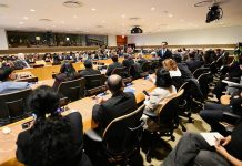 ‘Nepali Diaspora, a crucial pillar of Nepal’s development journey’